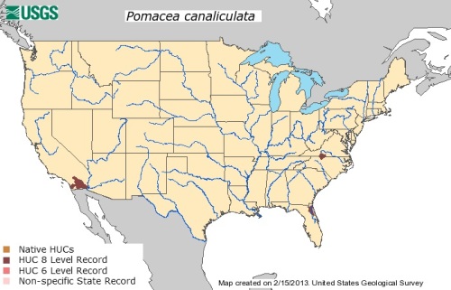 P. canaliculata map 2.15.2013 USGS
