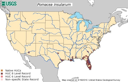 Pomacea insularum map 03.19.2013 USGS